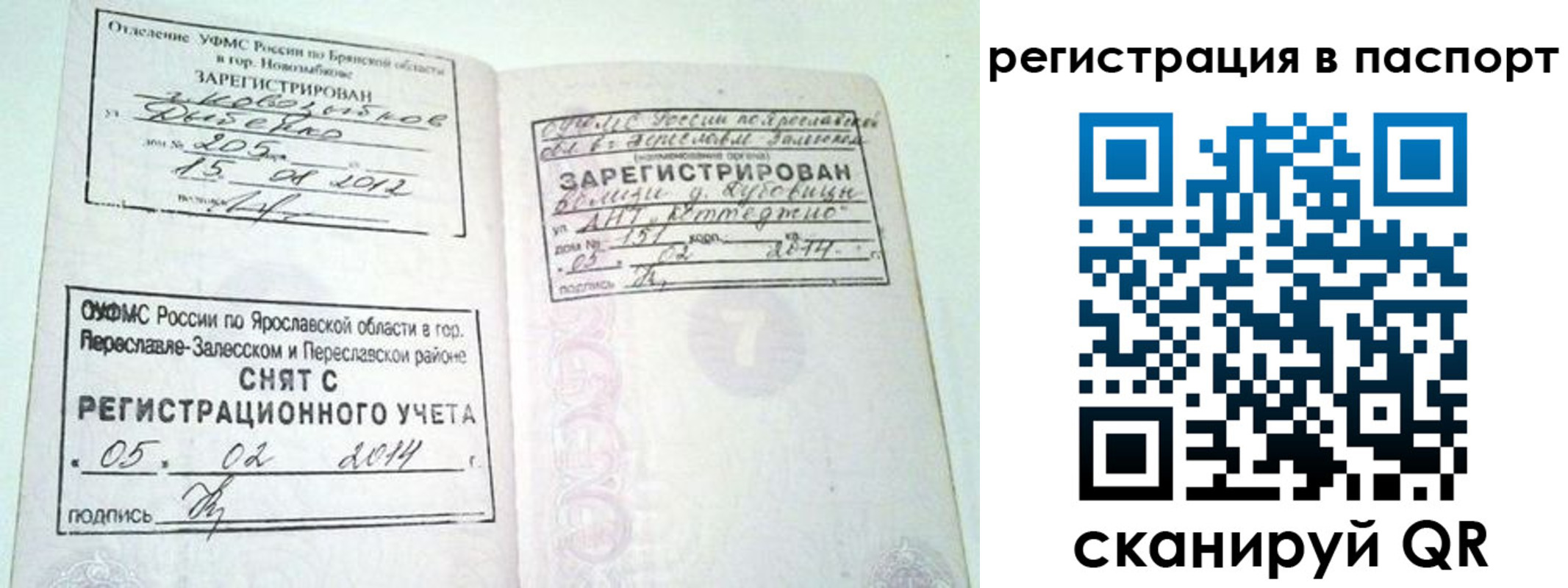 прописка в квартире в Светлом